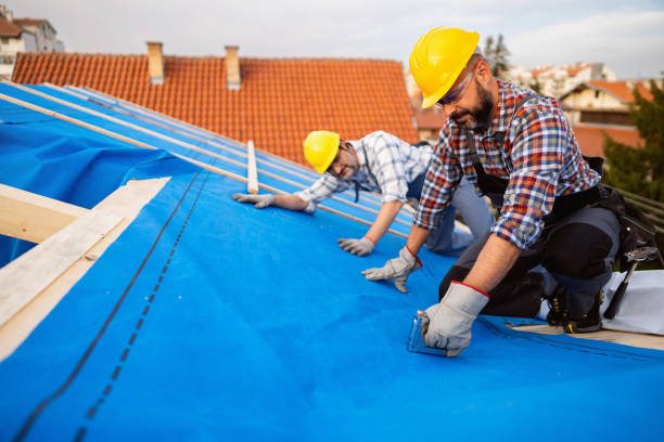 Best New Roof Installation  in Morn, GA
