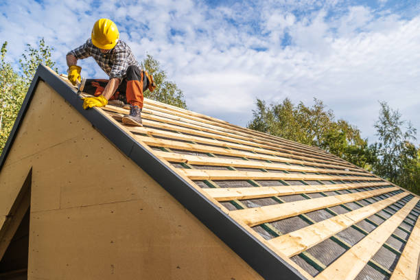 Roof Gutter Cleaning in Morgan, GA