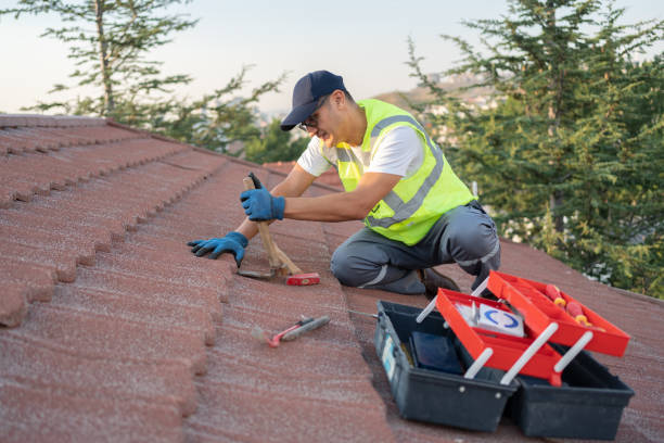 Best Roof Inspection Near Me  in Morn, GA