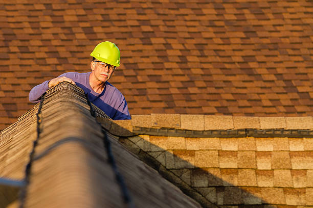 Best Roof Gutter Cleaning  in Morn, GA