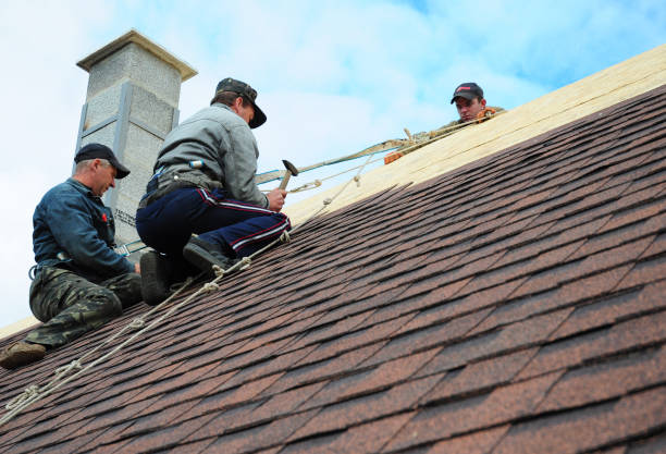 Best Roof Restoration Services  in Morn, GA